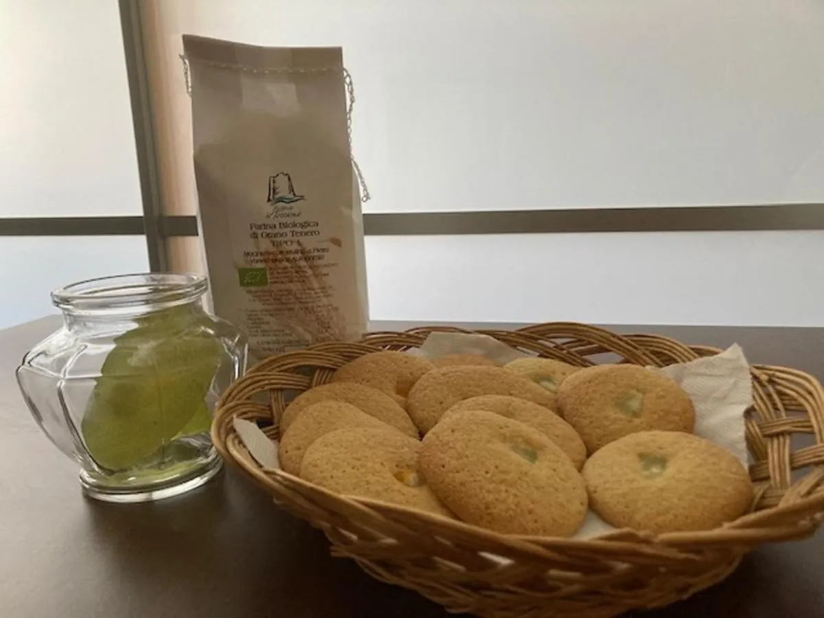 Bauernhof Bio Agriturismo Il Torrione Saturnia