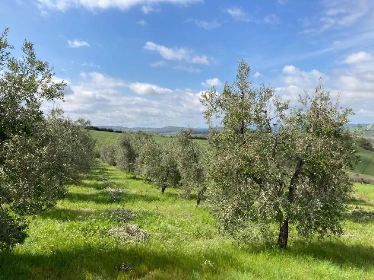 Bio Agriturismo Il Torrione Saturnia 0*,