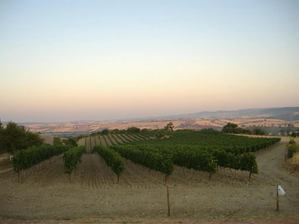 Farm stay Bio Agriturismo Il Torrione Saturnia